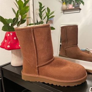 Classic Short Ugg Brand new size 6